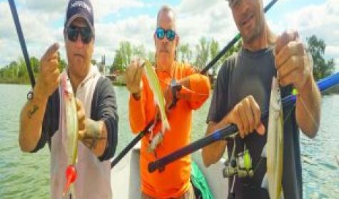 1505_pesca