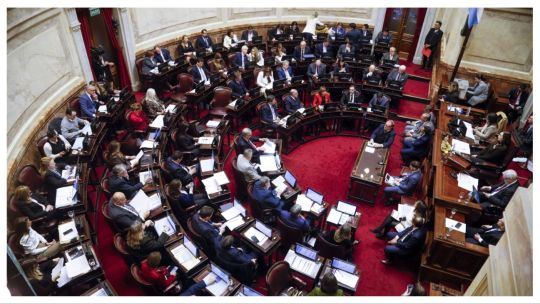 El Senado convirtió en ley la regularización de armas de fuego 