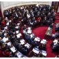 El Senado convirtió en ley la regularización de armas de fuego 