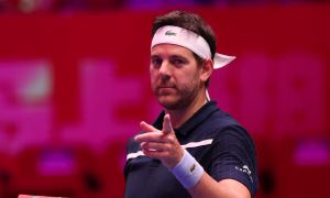 Juan Martín del Potro