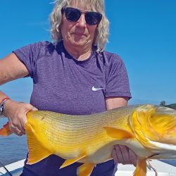 A solo 450 kilómetros del microcentro porteño, el destino ofrece una combinación perfecta de naturaleza, buena pesca y servicios preparados para recibir a pescadores de todo el país.