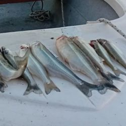 Tres lagunas que, tras un bajón en los rindes, van recuperándose y se posicionan como opciones para el pescador.