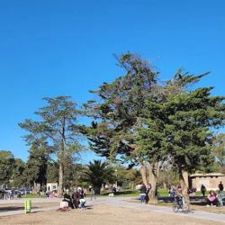 El proyecto prioriza la forestación con especies autóctonas.