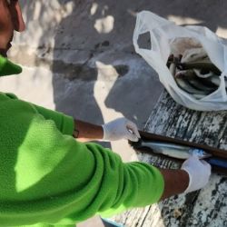 Los controles fueron considerados positivos, ya que la mayoría de los pescadores contaba con los requisitos obligatorios. 