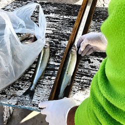 Los controles fueron considerados positivos, ya que la mayoría de los pescadores contaba con los requisitos obligatorios. 