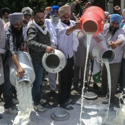 Ganaderos vertieron leche en la carretera en protesta contra la producción y el comercio de leche adulterada en Amritsar, India. | Foto:Narinder Nanu / AFP