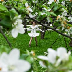 Una joven baila entre manzanos en flor en un huerto de manzanos en la Reserva-Museo Kolomenskoye de Moscú, Rusia. | Foto:Igor Ivanko / AFP