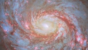 1805_galaxia calamar