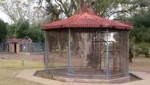 1805_zoológico bahía blanca
