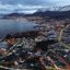 In Tierra del Fuego, a hunt for the rodent carrier of hantavirus