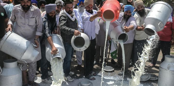 Ganaderos vertieron leche en la carretera en protesta contra la producción y el comercio de leche adulterada en Amritsar, India.