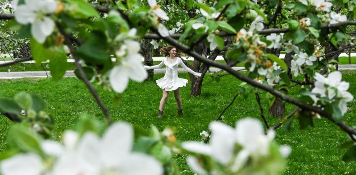 Una joven baila entre manzanos en flor en un huerto de manzanos en la Reserva-Museo Kolomenskoye de Moscú, Rusia.