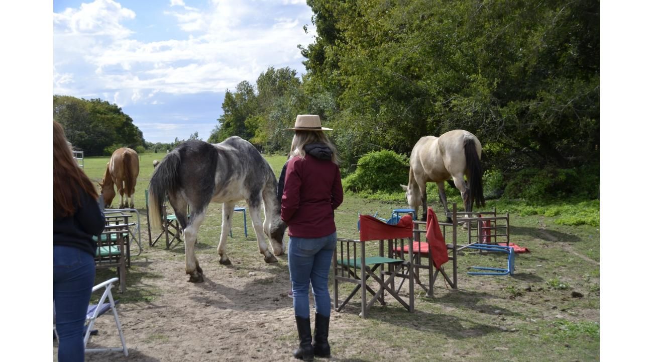 Cómo la manera de expresar nuestro afecto puede alejar al caballo