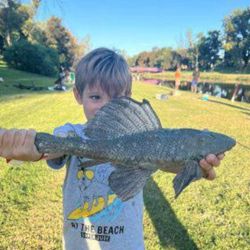 La escena refleja una realidad que se consolida en Pergamino: chicos, familias y pescadores experimentados compartiendo jornadas al aire libre, recuperando espacios naturales y encontrando en la pesca mucho más que un hobby.