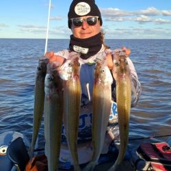 Si bien todavía no se trata de una pesca explosiva, la presencia de pejerreyes de muy buen tamaño encendió rápidamente el entusiasmo entre los aficionados.