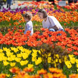 Imagen de personas disfrutando de flores en un jardín botánico, en Vladivostok, Rusia. | Foto:Xinhua/Andrey Matveenko