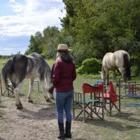 Cómo la manera de expresar nuestro afecto puede alejar al caballo