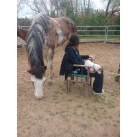 Cómo la manera de expresar nuestro afecto puede alejar al caballo