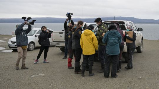 Researchers collect rodents near Ushuaia for hantavirus tests