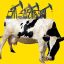 Vaca Muerta promises flood of dollars, insuring Argentina's next president against any currency crisis