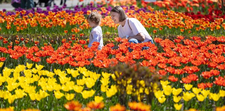 Imagen de personas disfrutando de flores en un jardín botánico, en Vladivostok, Rusia.