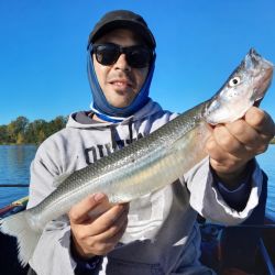 Además de la pesca, el predio ofrece una infraestructura muy completa para pasar el día en familia o con amigos: sombrillas, parrillas, bancos, sanitarios, juegos infantiles, proveeduría, luz eléctrica y seguridad, convirtiéndose en una opción recreativa muy atractiva.