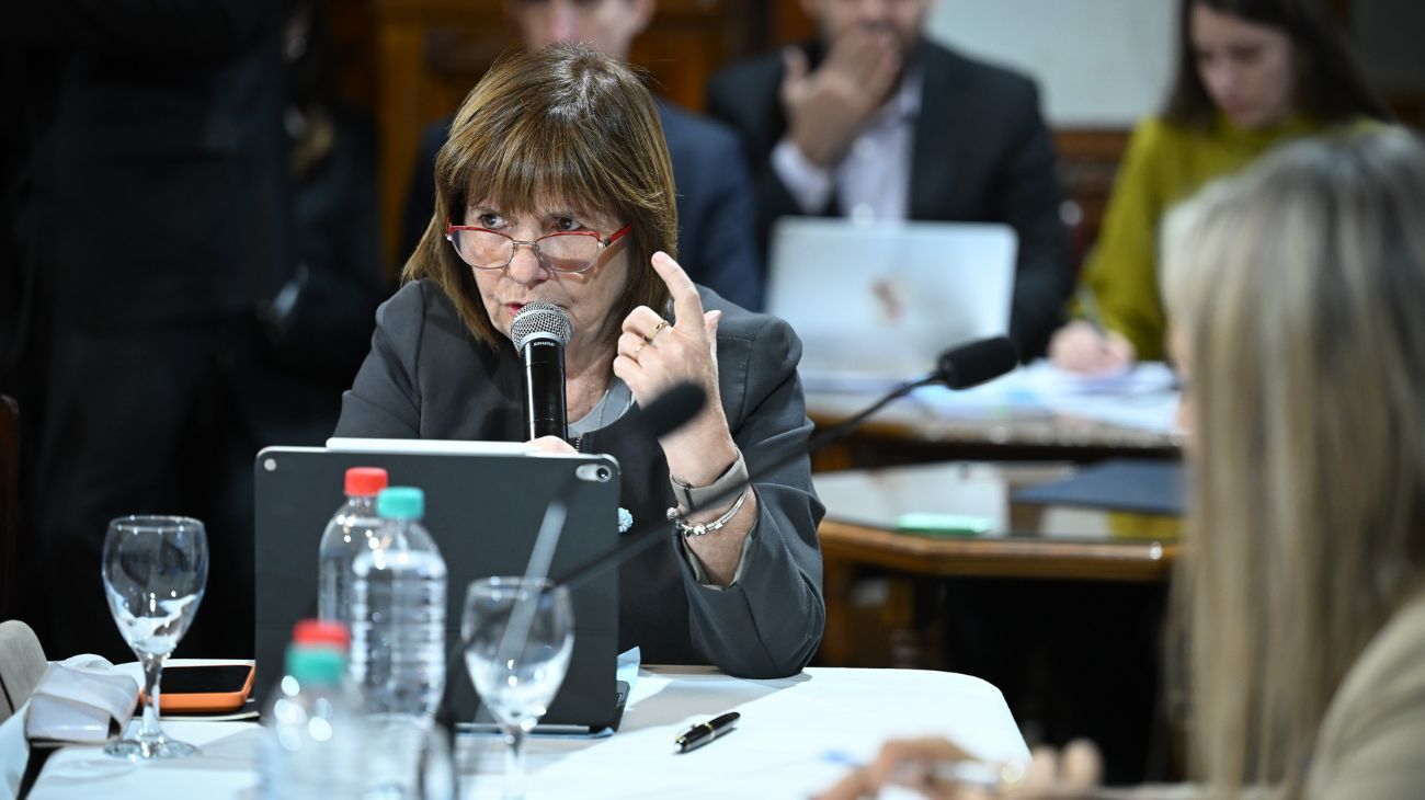 Patricia Bullrich defendió el nuevo texto del proyecto de propiedad privada en el Senado