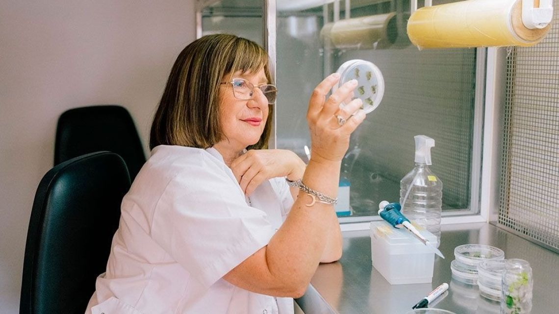Argentine scientist wins global award for her work on ‘drought-resistant’ crops
