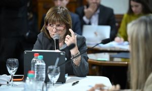 Patricia Bullrich defendió el nuevo texto del proyecto de propiedad privada en el Senado