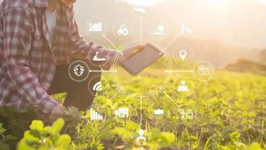 Integración de la tecnología al agro: “Las entidades tienen que trabajar en la reivindicación de los derechos de los productores”