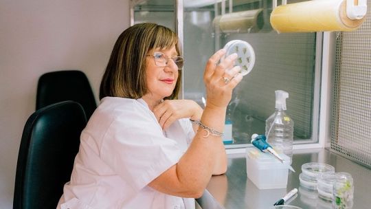Argentine scientist wins global award for her work on ‘drought-resistant’ crops