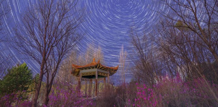 Imagen compuesta de flores de azalea bajo un cielo estrellado, en el distrito de Yimei de Yichun, en la provincia de Heilongjiang, en el noreste de China. Heilongjiang, la provincia más septentrional de China, ha recibido recientemente un espectáculo de cielo estrellado extendiéndose sobre flores en floración.