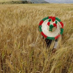 Un agricultor trabaja en su campo de trigo en la región de Sebt Marchouch, Marruecos. En toda la región rural de Marchouch, a unos 70 kilómetros al sur de Rabat, los paisajes que habían estado áridos durante mucho tiempo han vuelto a reverdecer y los agricultores han retomado sus labores agrícolas. | Foto:Abdel Majid Bziouat / AFP