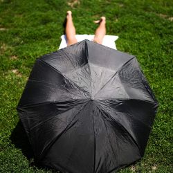 Una persona se sienta bajo una sombrilla en Central Park, en el distrito de Manhattan de la ciudad de Nueva York. | Foto:CHARLY TRIBALLEAU / AFP