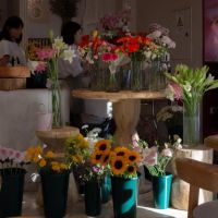 Dei Fiori: diseño, encuentros y experiencias en el corazón de Yerba Buena
