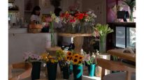 Dei Fiori: diseño, encuentros y experiencias en el corazón de Yerba Buena