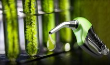Biocombustible