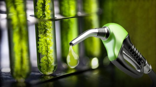 Por la suba del petróleo, “el biocombustible es más conveniente para mantener el precio del surtidor”