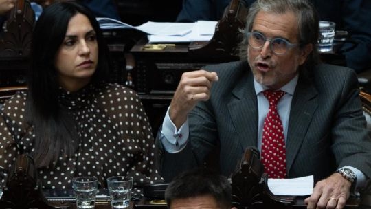Milei government secures lower house passage of 'Ley Hojarasca' deregulation law