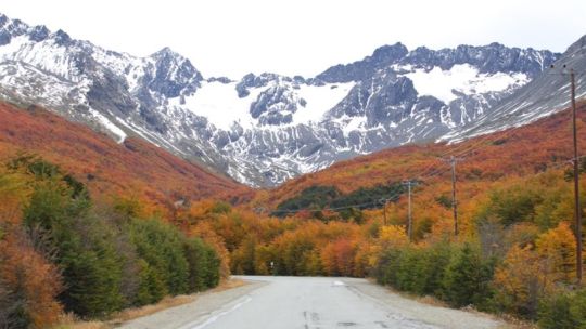 Otoño en Ushuaia: menos turistas, paisajes cobrizos y una experiencia distinta en el fin del mundo