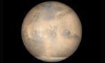 Venus en Cáncer: horóscopo del amor signo por signo