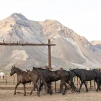 Cabalgata los Tres Valles
