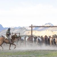 Cabalgata los Tres Valles