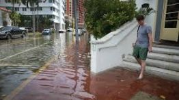 Estados Unidos: 40 ciudades podrían inundarse por el cambio climático.