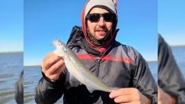 Pejerreyes y dorados, protagonistas del informe de pesca en todo el país