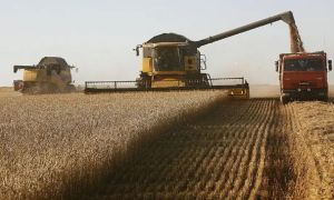Agro