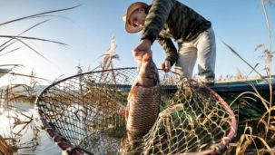 2205_pesca 