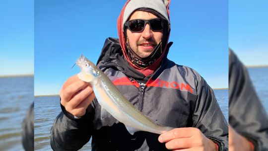 Pejerreyes y dorados, protagonistas del informe de pesca en todo el país