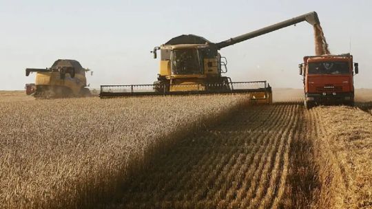 Balanza comercial del agro: “Argentina se posiciona con mayor ventaja en el comercio internacional”