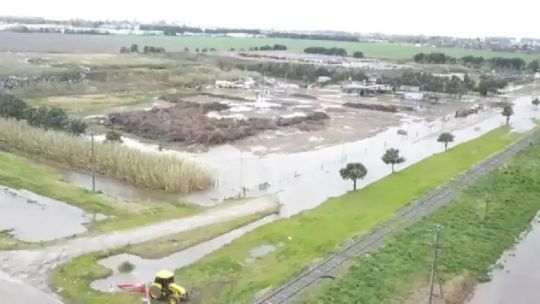 Tras 11 meses de inundación en la provincia de Buenos Aires, ya hay “lotes donde se perdieron totalmente los cultivos”